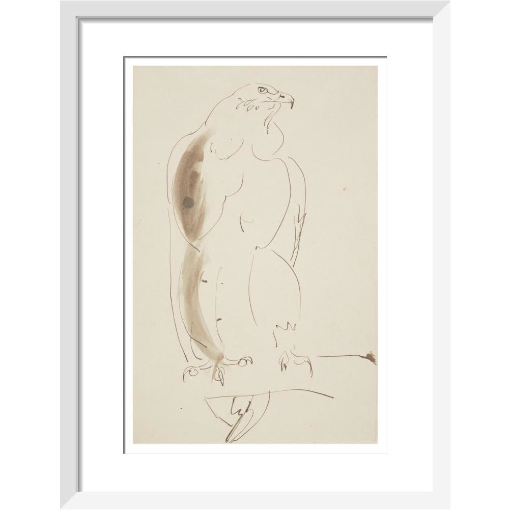 Eagle - Art print