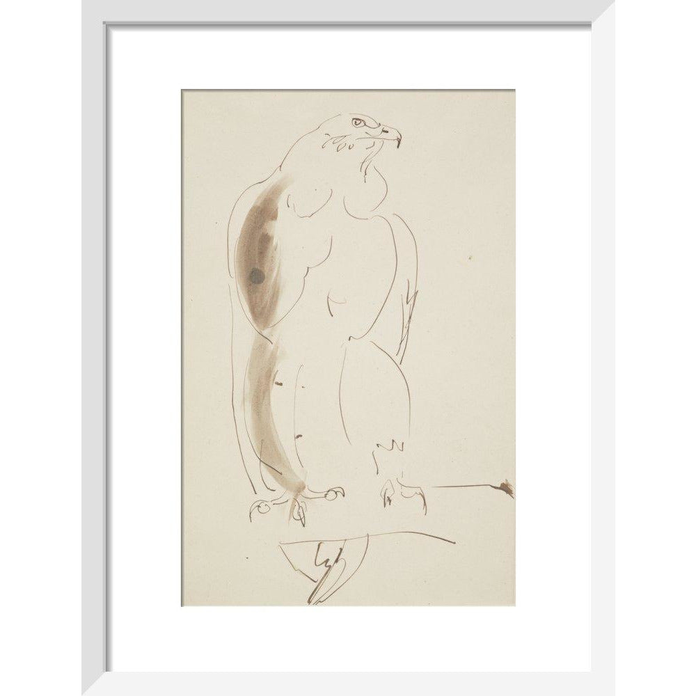 Eagle - Art print