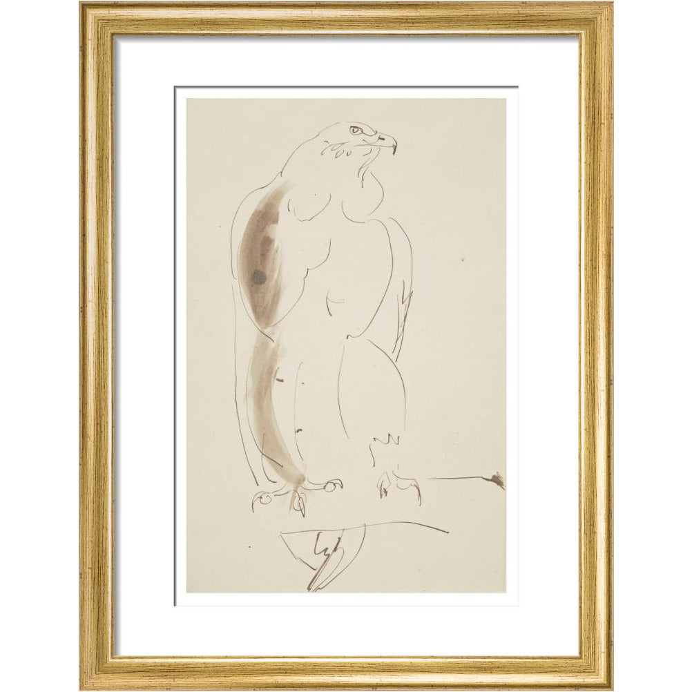 Eagle - Art print