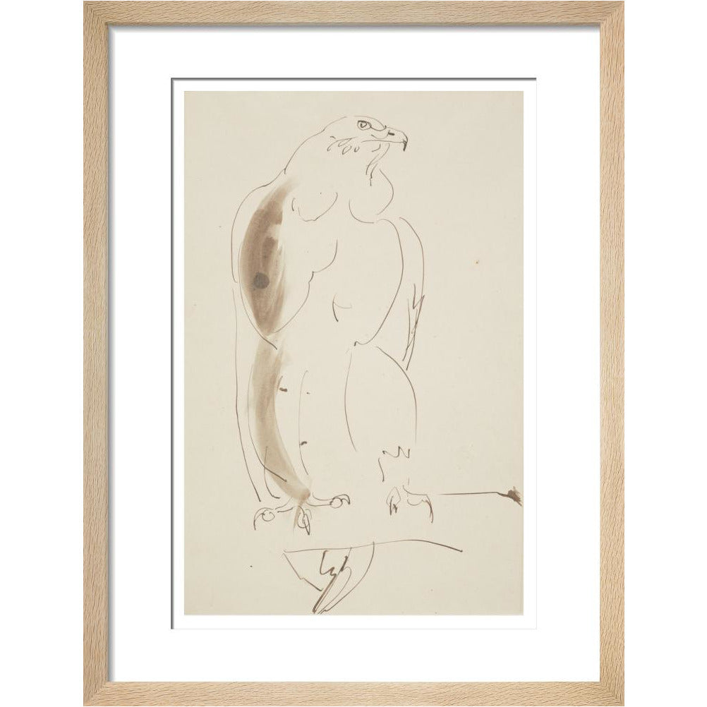 Eagle - Art print