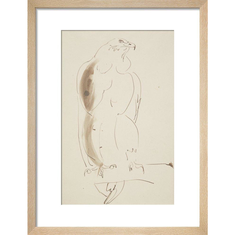Eagle - Art print
