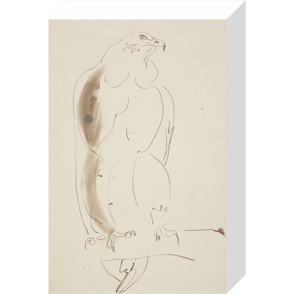 Eagle - Art print