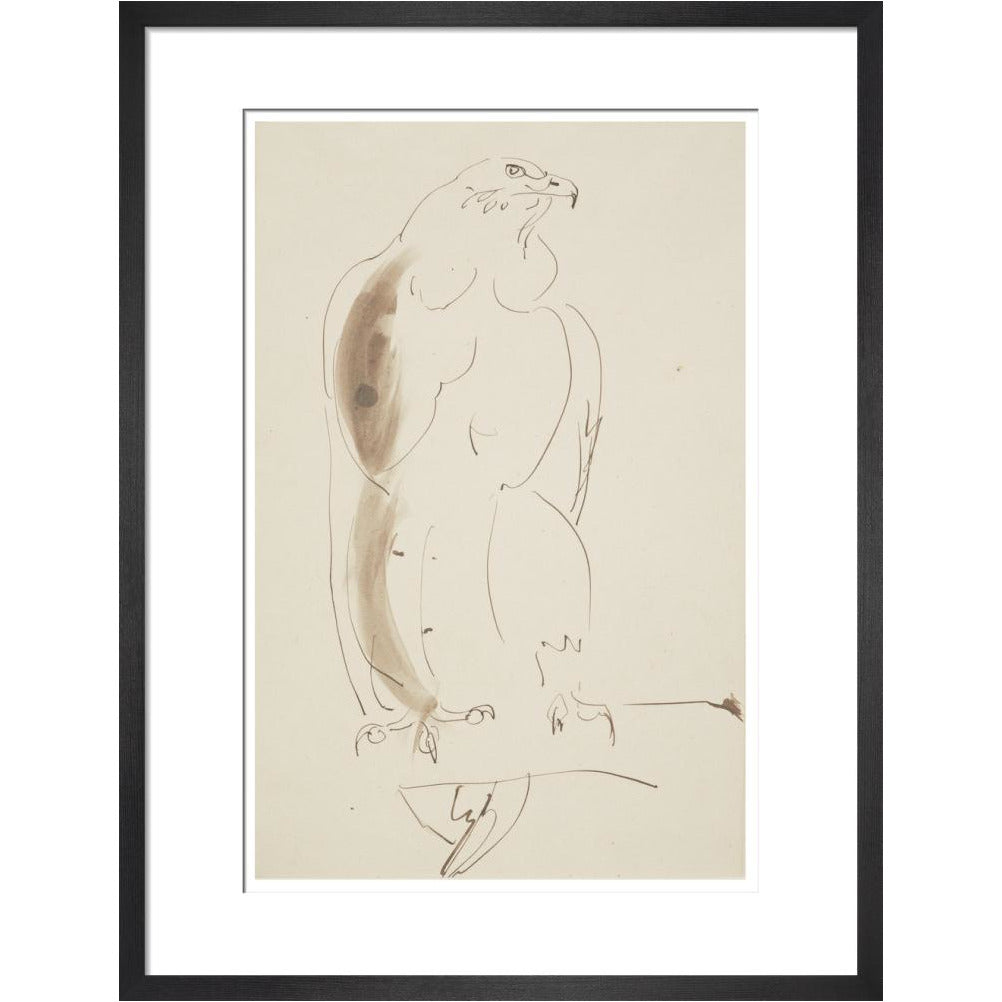Eagle - Art print
