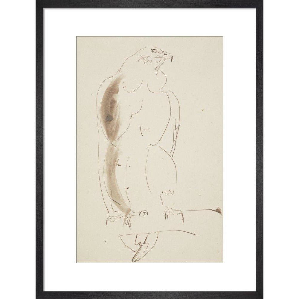 Eagle - Art print