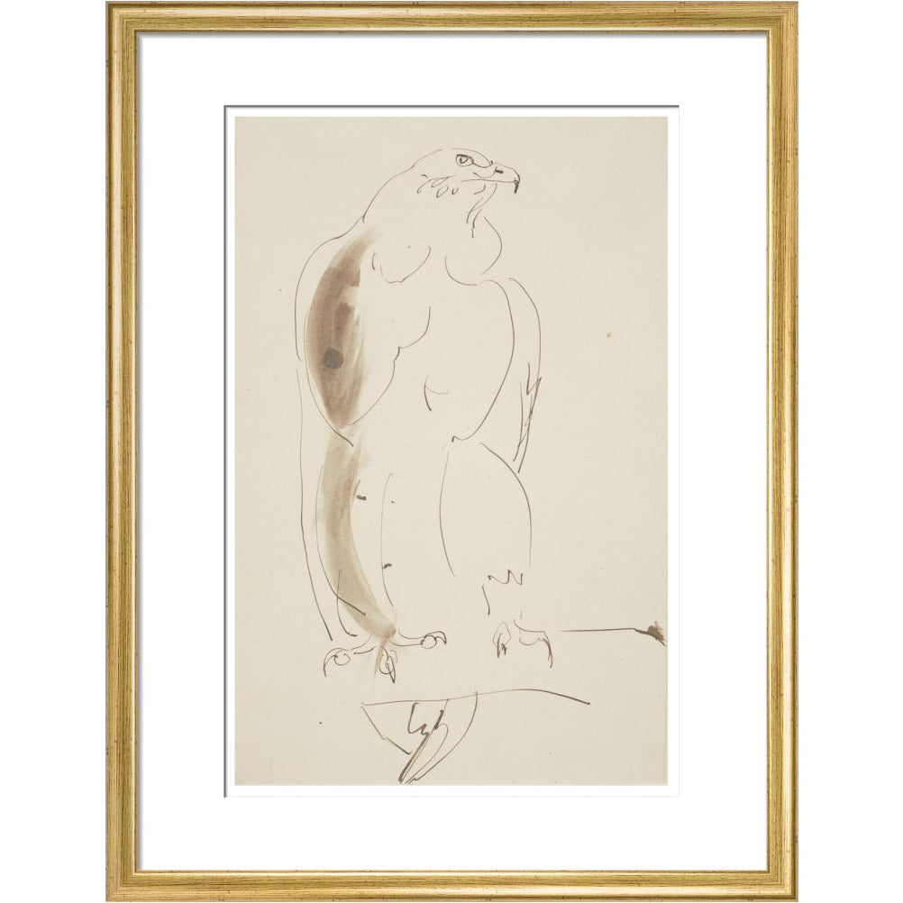 Eagle - Art print