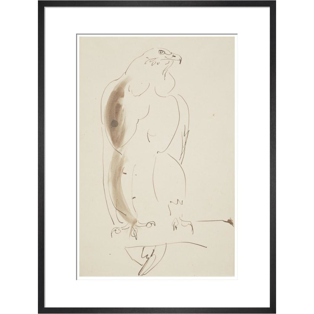 Eagle - Art print