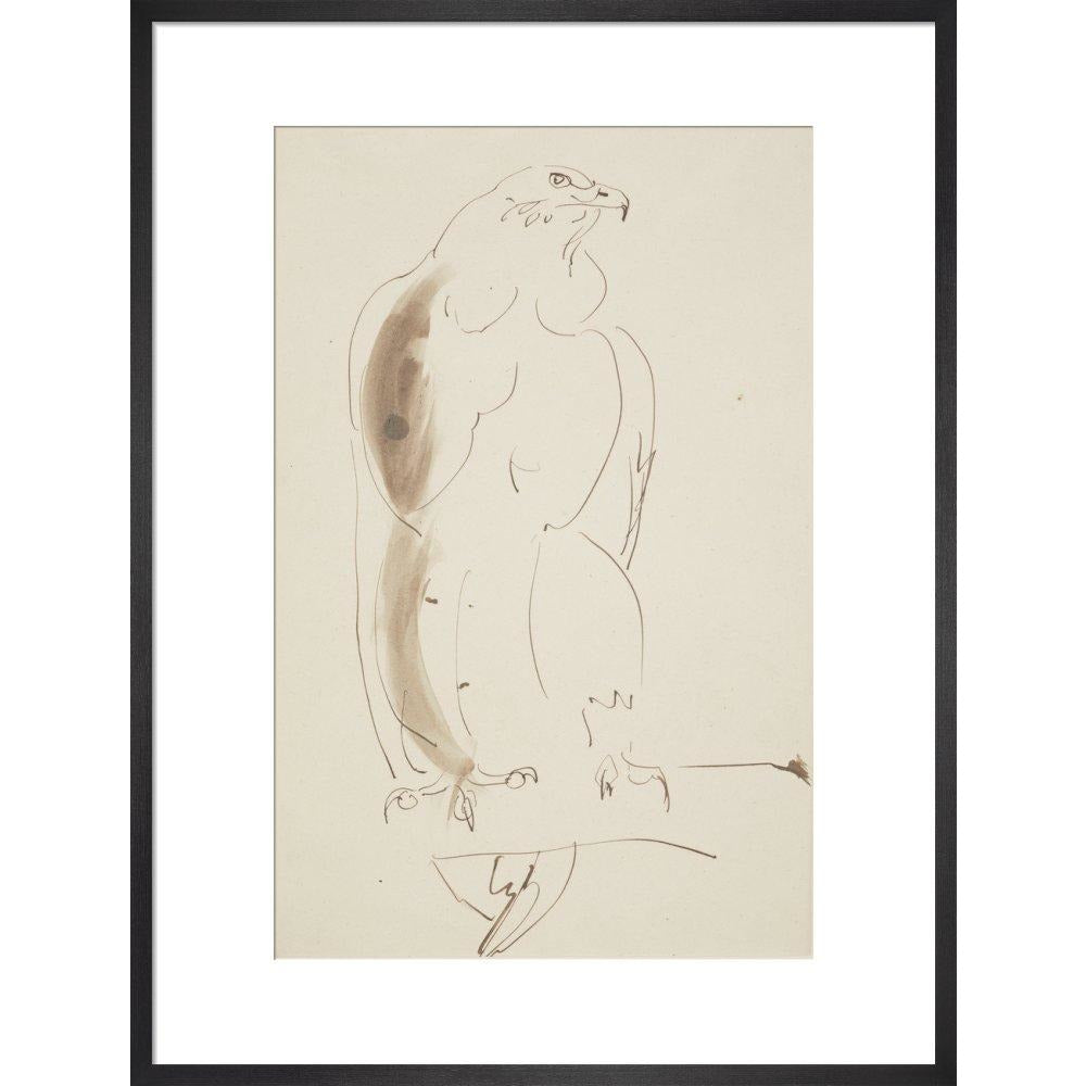 Eagle - Art print