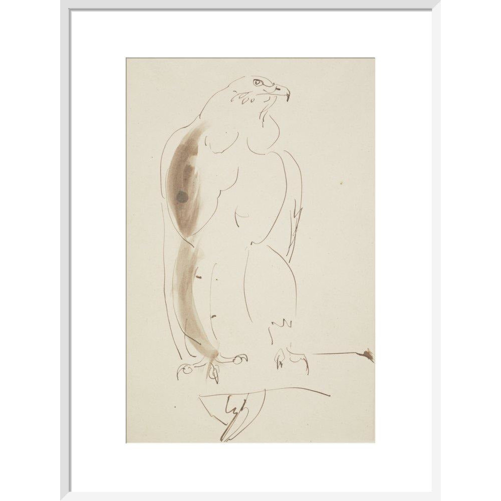 Eagle - Art print