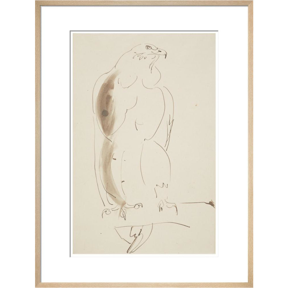 Eagle - Art print