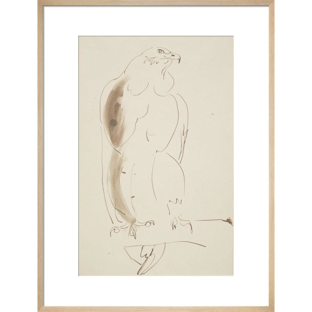 Eagle - Art print
