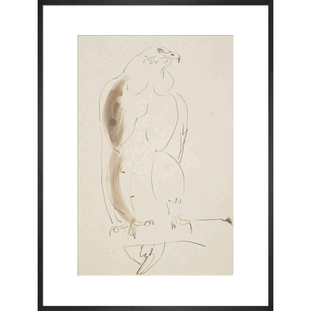 Eagle - Art print