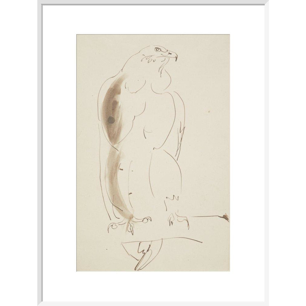 Eagle - Art print