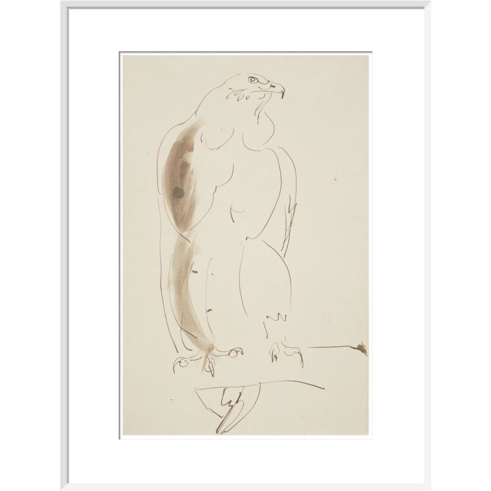 Eagle - Art print