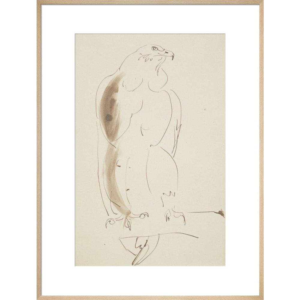 Eagle - Art print