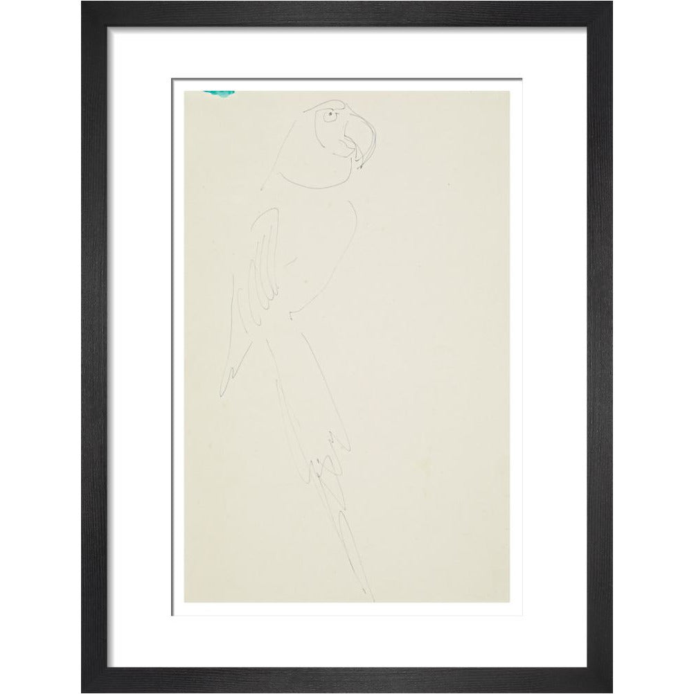 Parrot - Art print