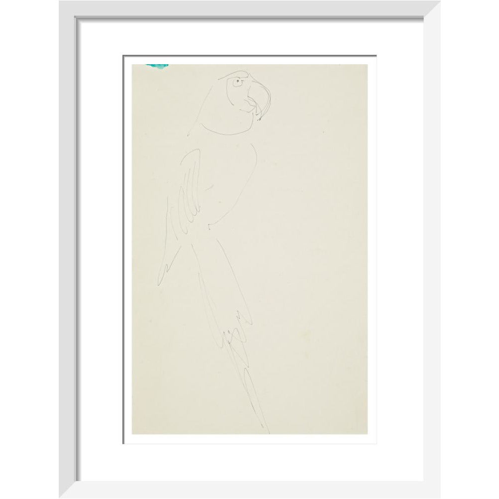 Parrot - Art print