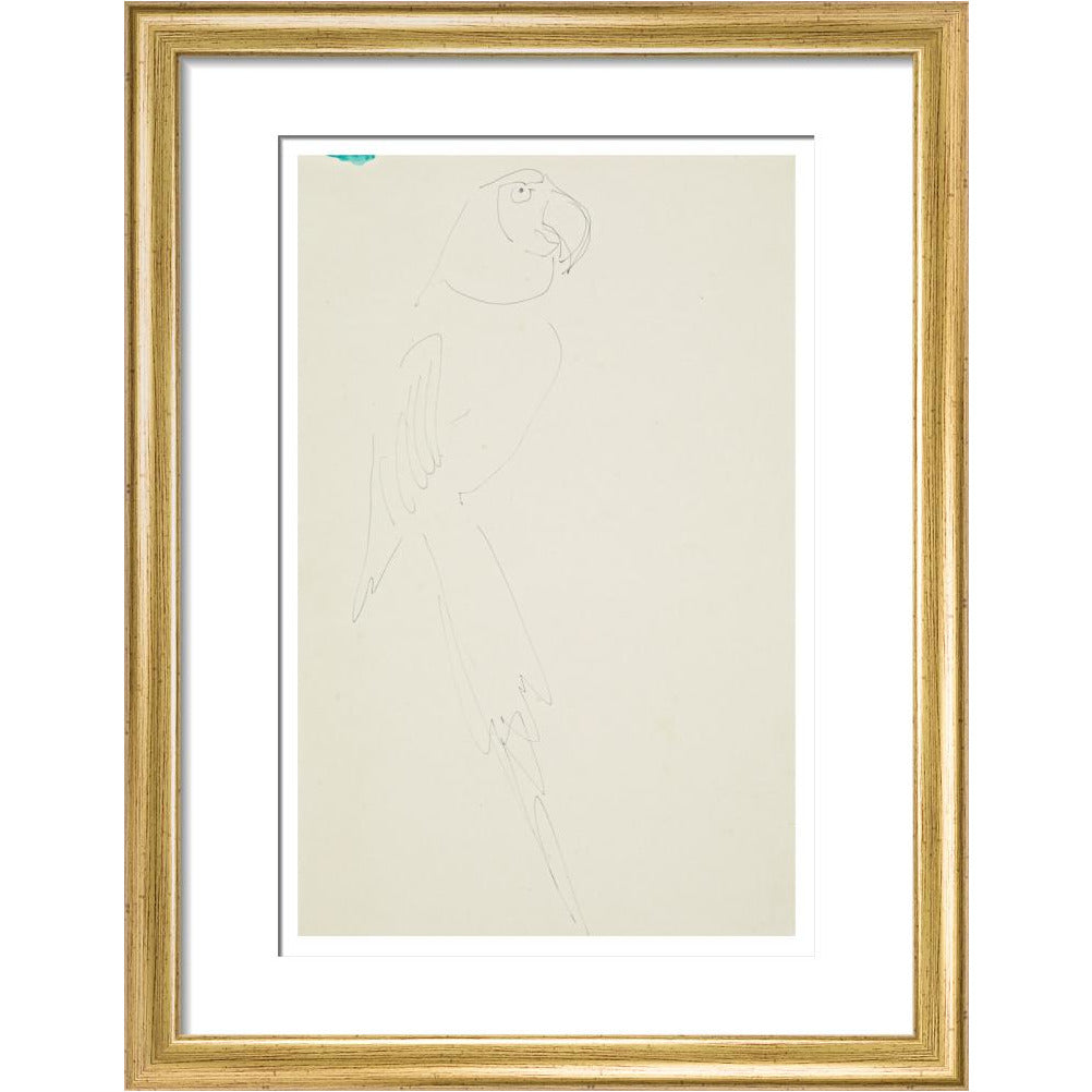 Parrot - Art print