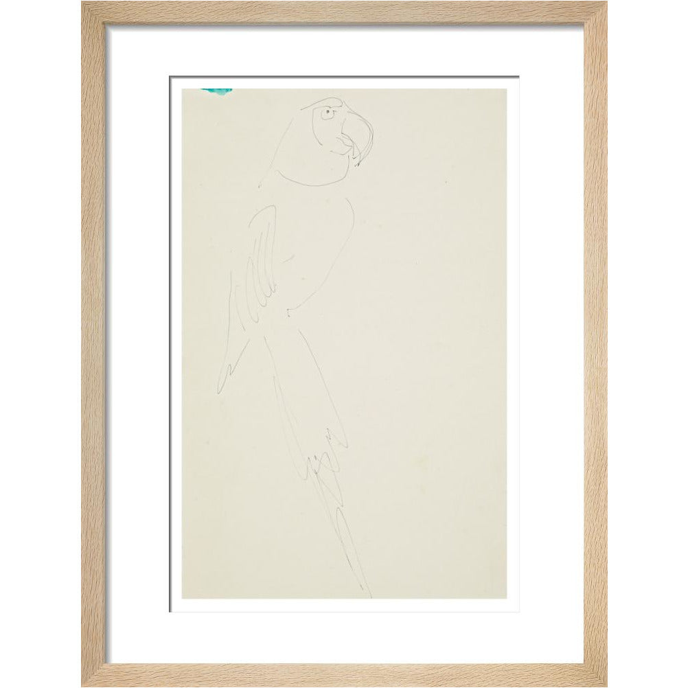 Parrot - Art print