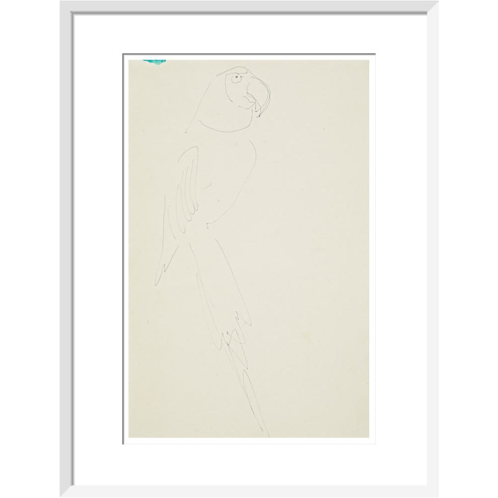 Parrot - Art print