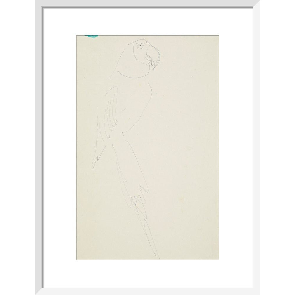 Parrot - Art print