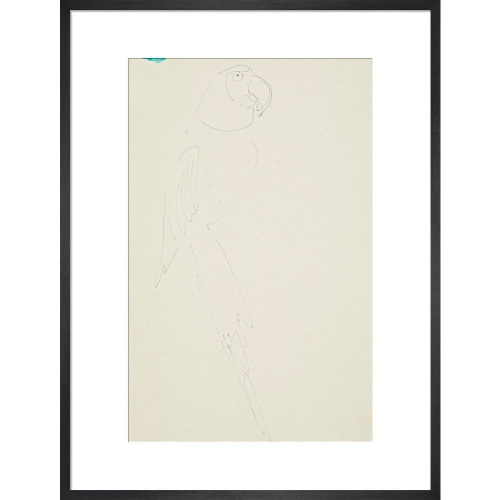 Parrot - Art print