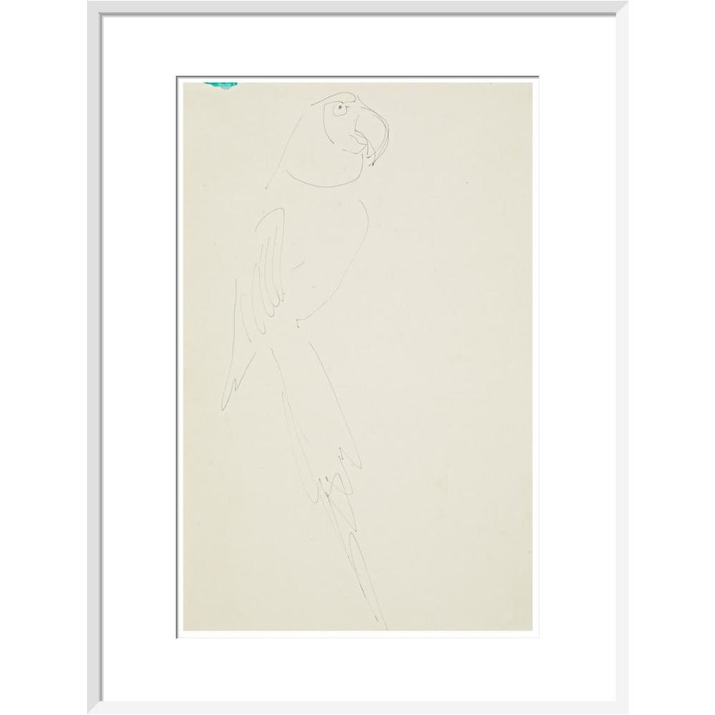 Parrot - Art print