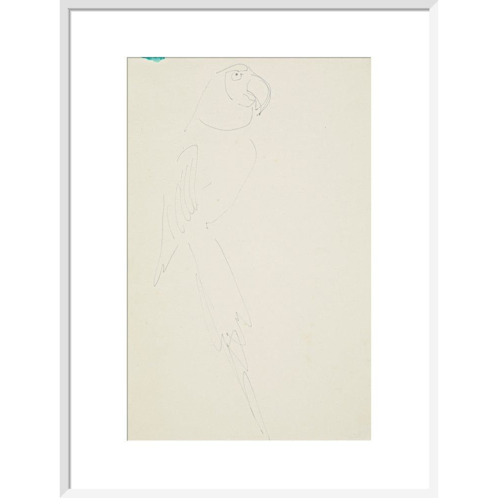 Parrot - Art print