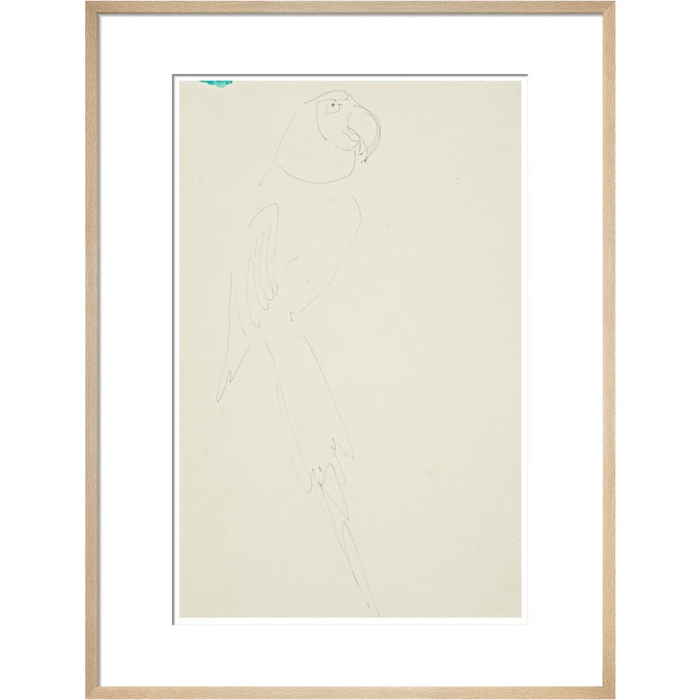 Parrot - Art print