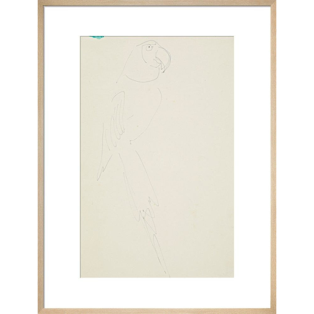 Parrot - Art print