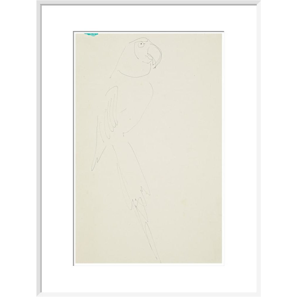Parrot - Art print