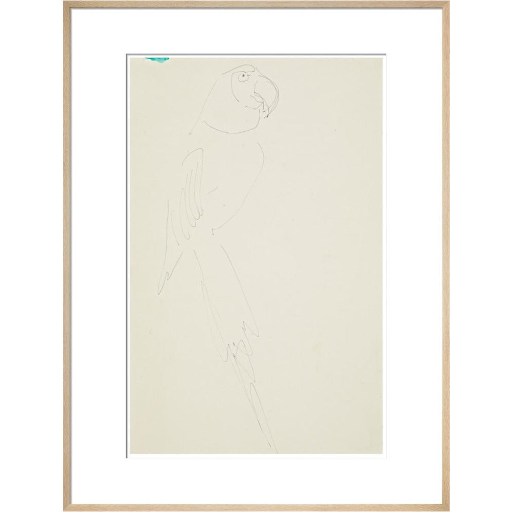 Parrot - Art print
