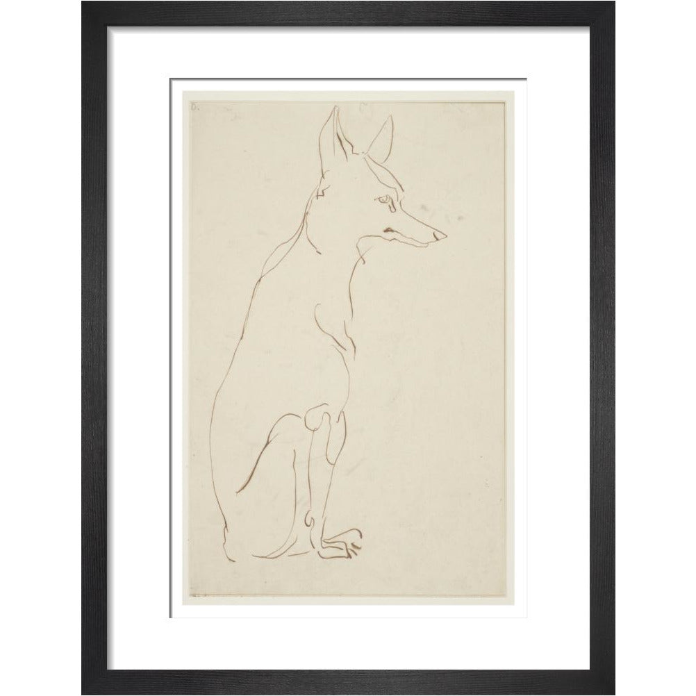 Fox - Art print