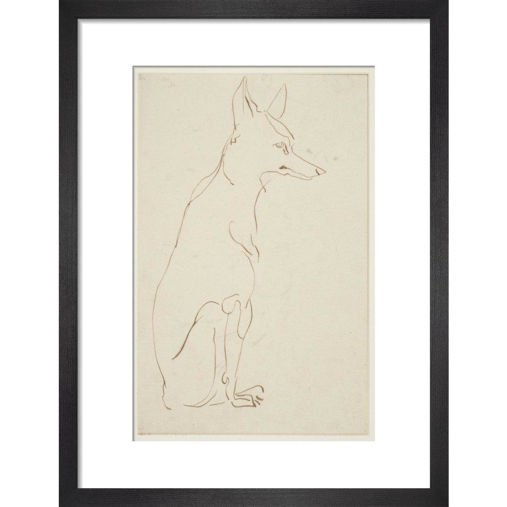 Fox - Art print