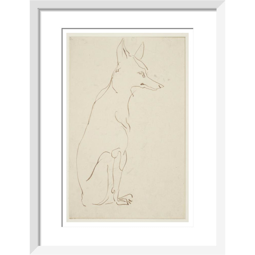 Fox - Art print