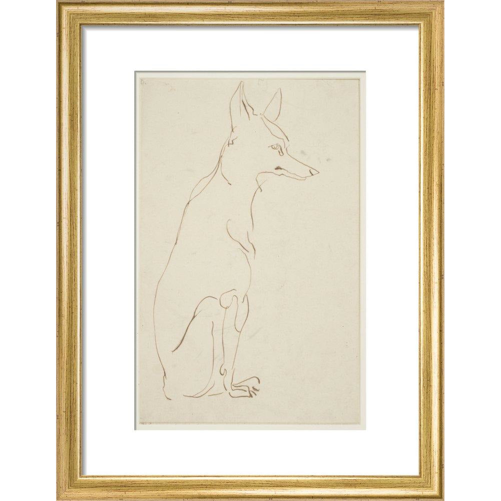 Fox - Art print