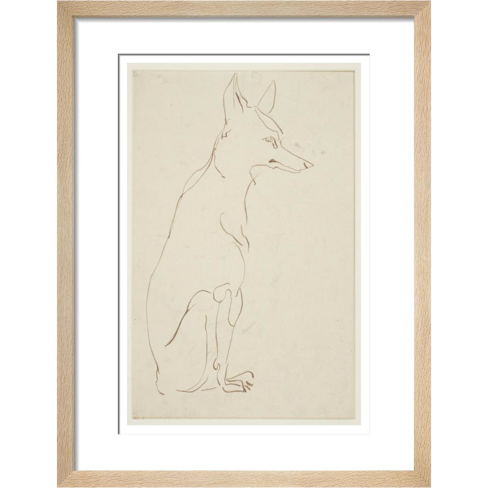 Fox - Art print