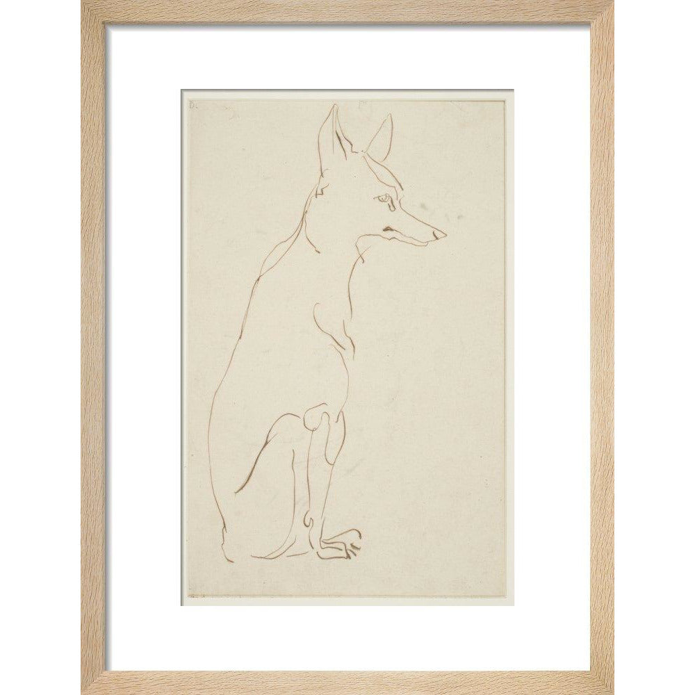 Fox - Art print