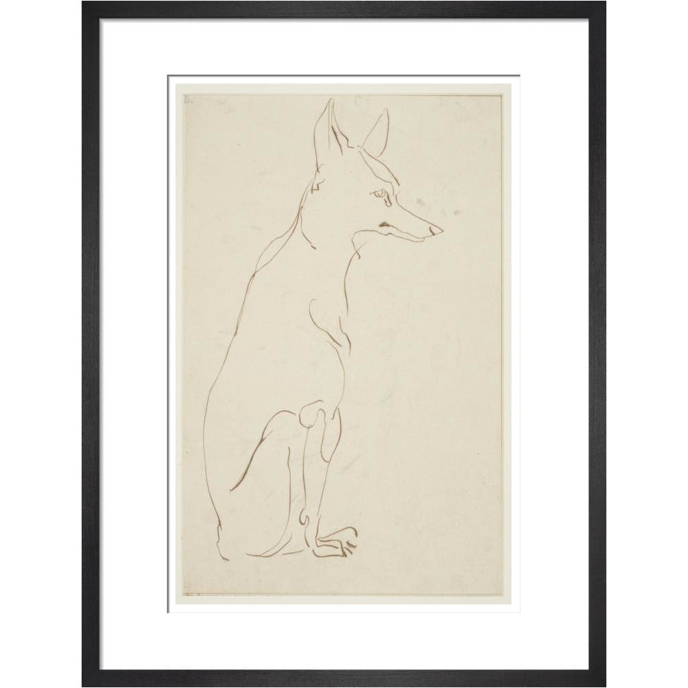Fox - Art print