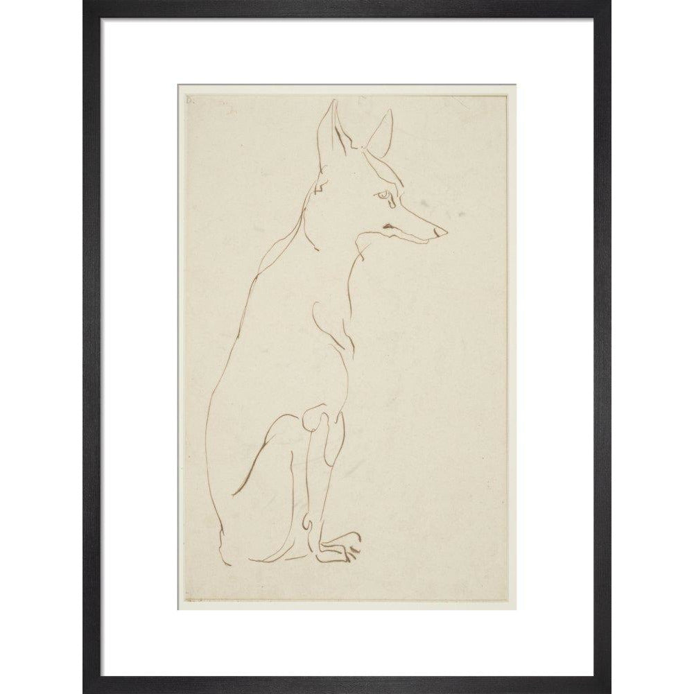 Fox - Art print