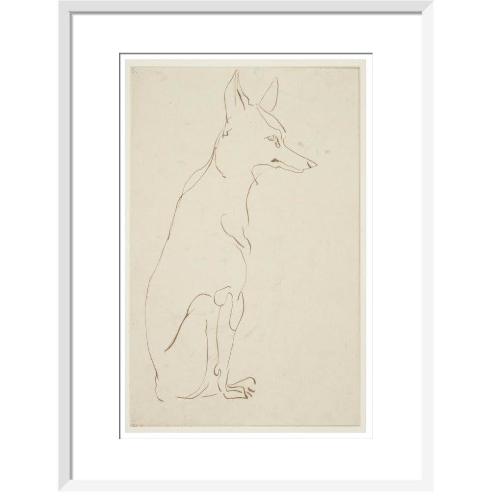 Fox - Art print