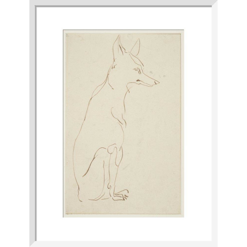 Fox - Art print