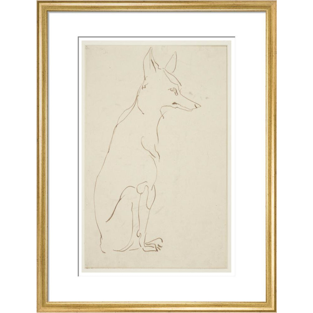 Fox - Art print