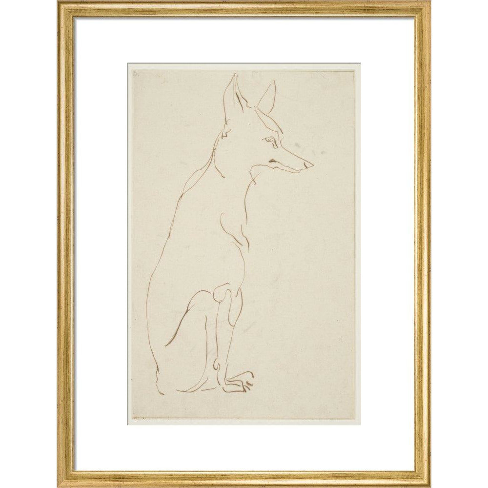 Fox - Art print