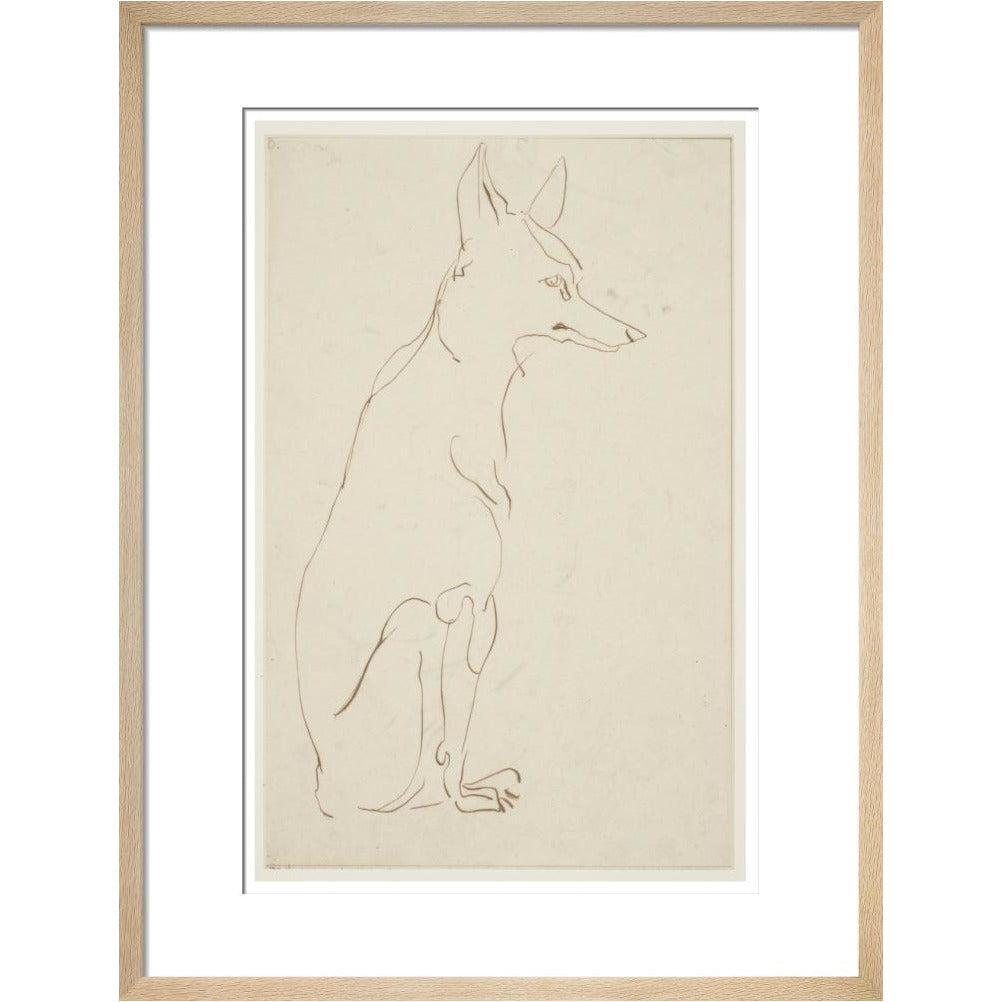 Fox - Art print