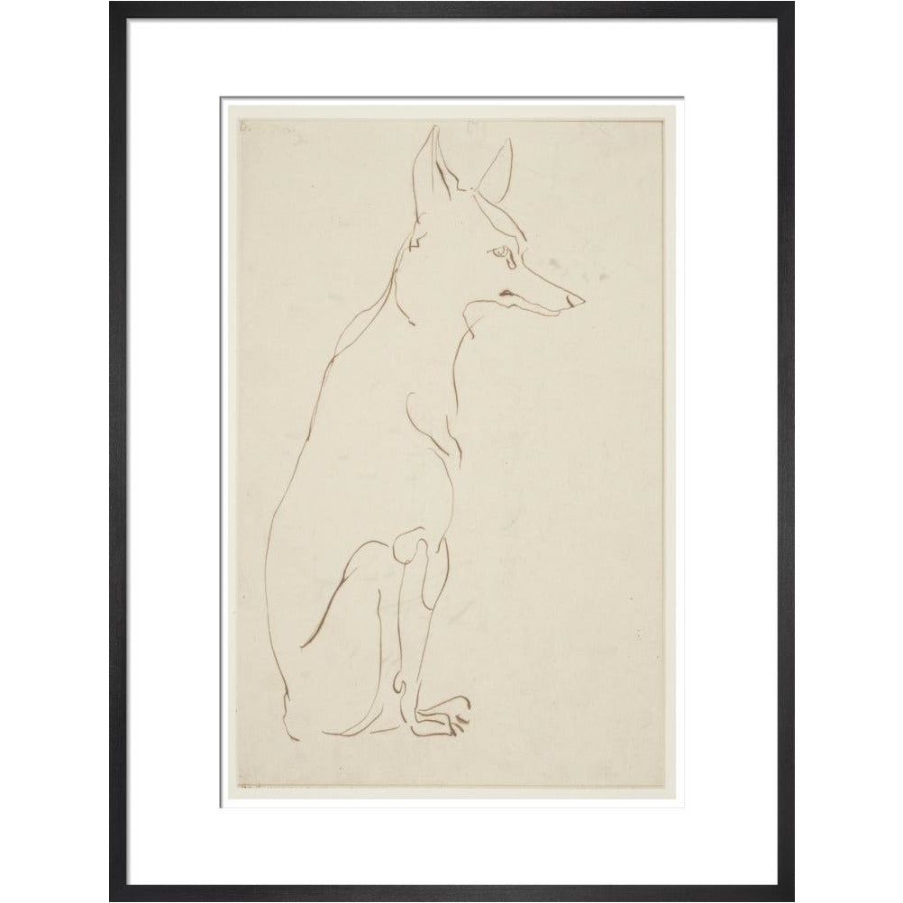 Fox - Art print