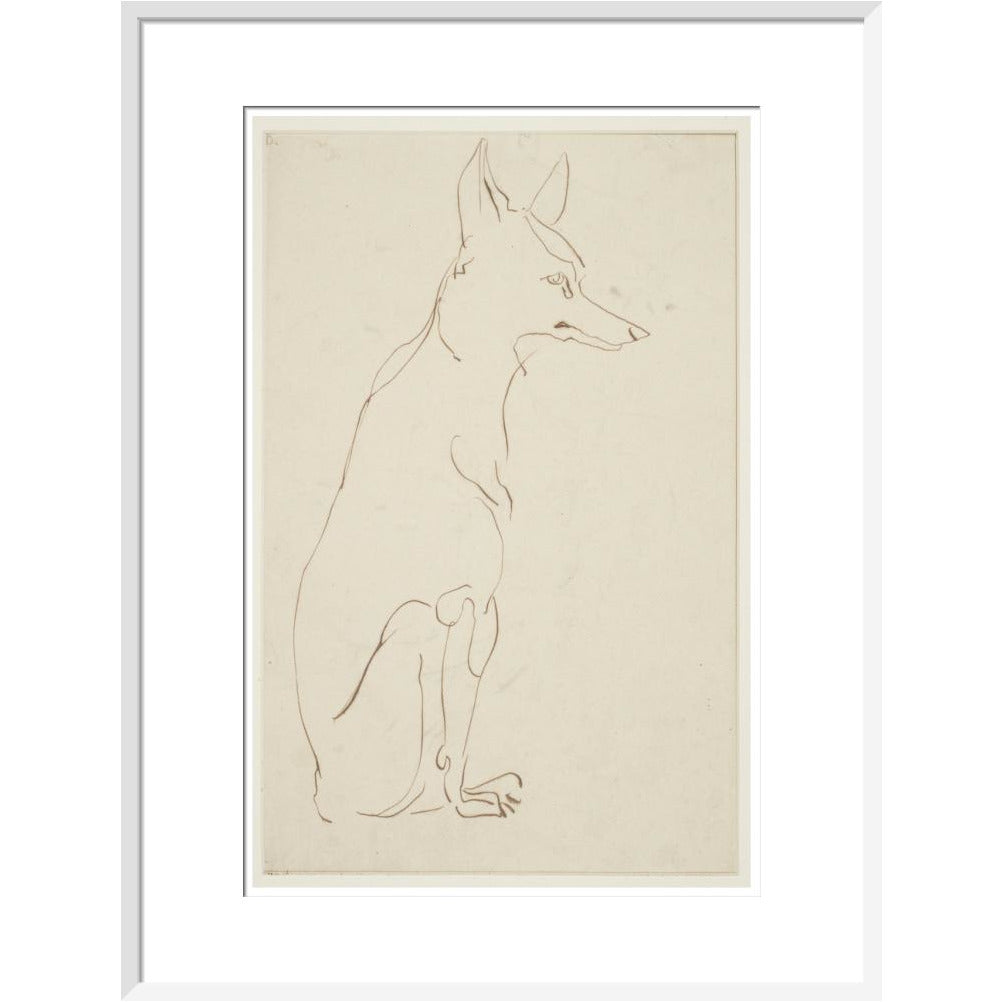 Fox - Art print