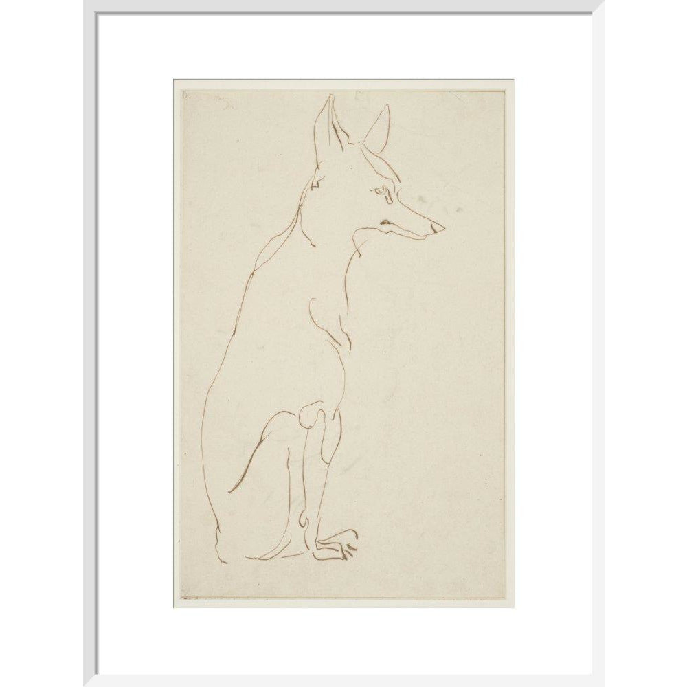 Fox - Art print