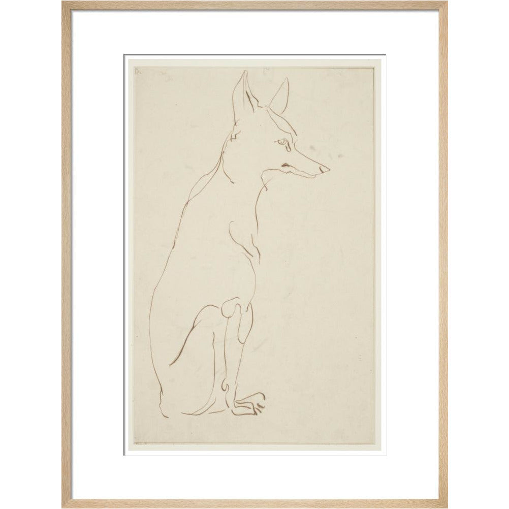 Fox - Art print