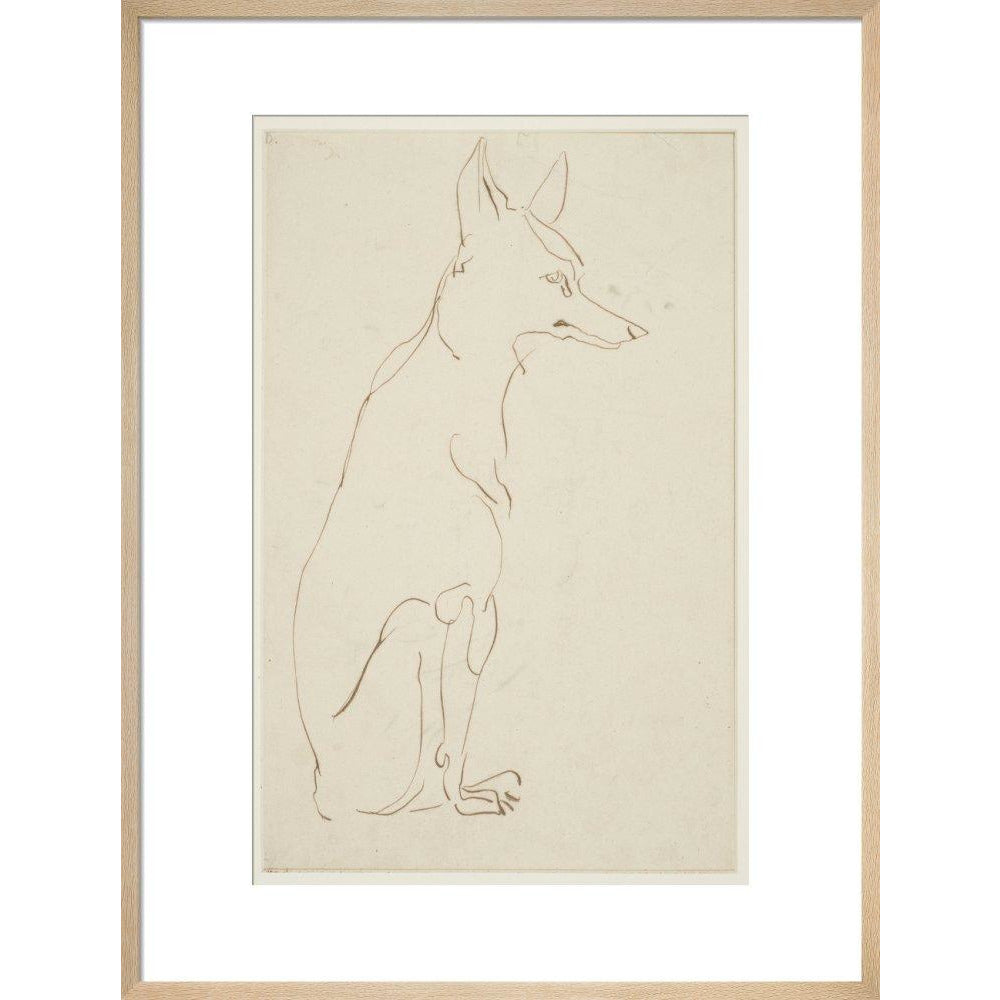 Fox - Art print