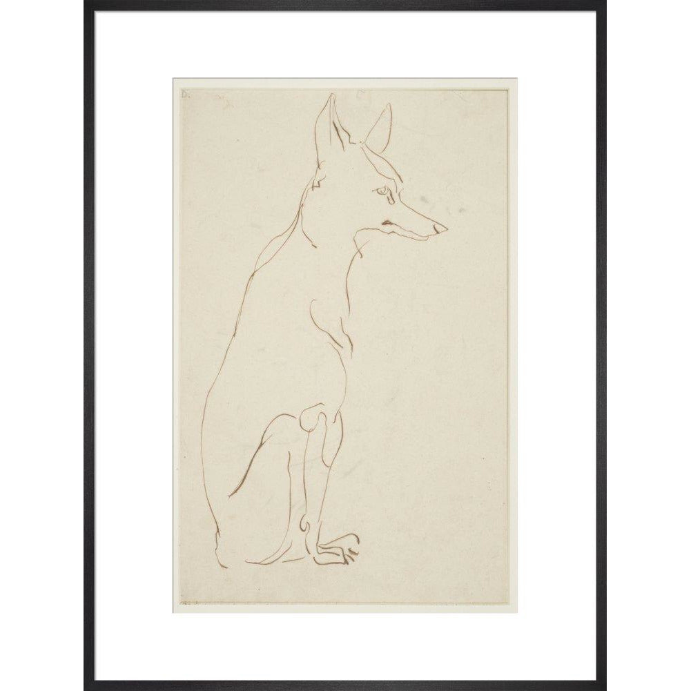 Fox - Art print